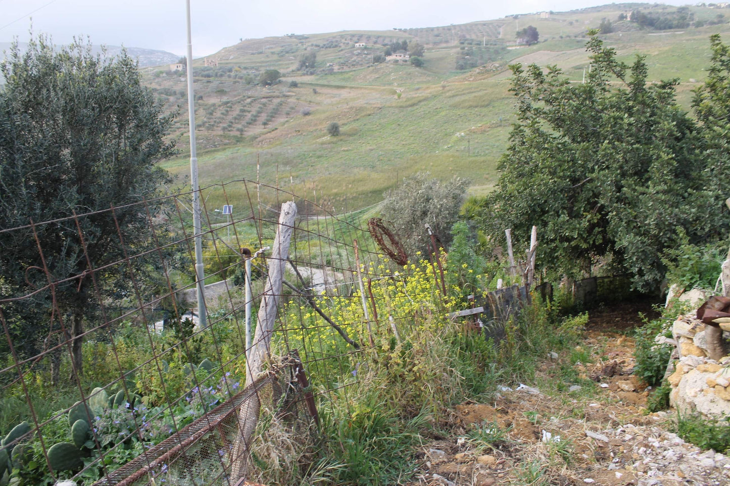 MAGAZZINO AGRICOLO CURABA – CDA ALBANO