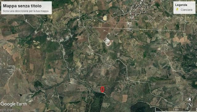 TERRENO GRIMALDI CDA VALLONE FEOTTO
