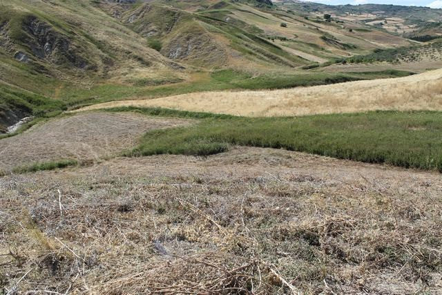 TERRENO E CASA TAMBUZZO CDA CINIE