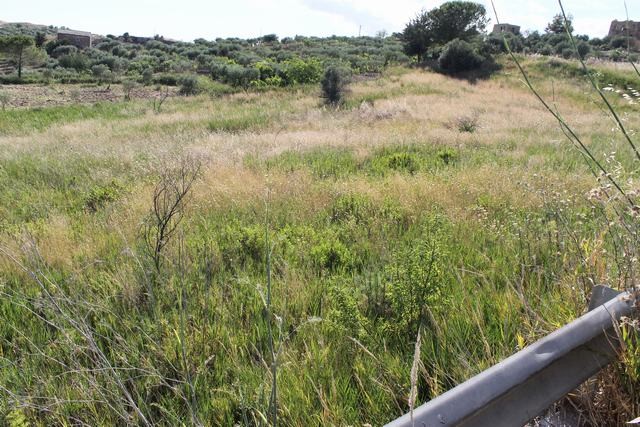 TERRENO TAMBUZZO CDA ALBANO 2