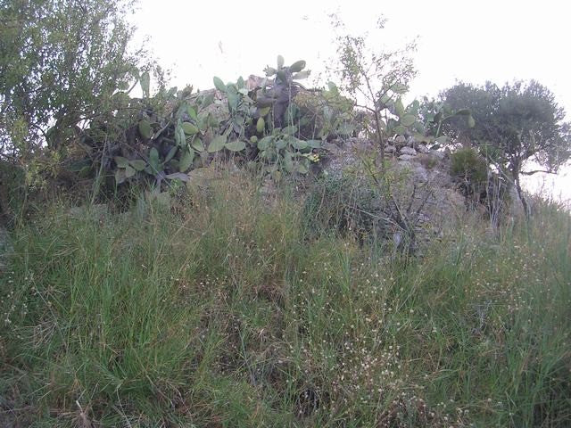 TERRENO E CASA GRIMALDI CDA BISSANA