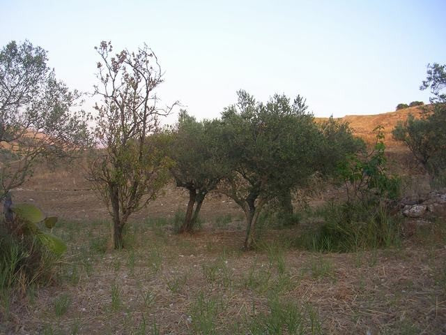 TERRENO E CASA GRIMALDI CDA BISSANA