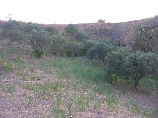 TERRENO E CASA GRIMALDI CDA BISSANA