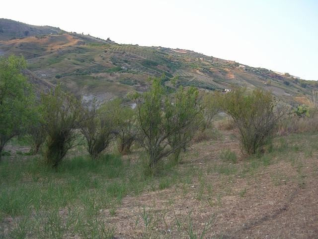 TERRENO E CASA GRIMALDI CDA BISSANA