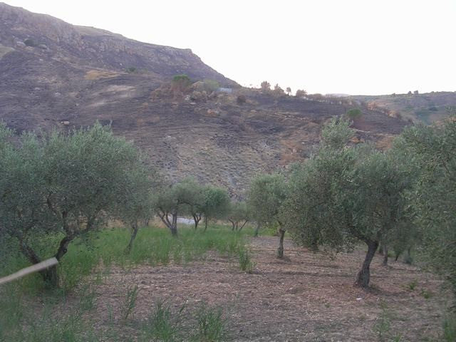 TERRENO E CASA GRIMALDI CDA BISSANA