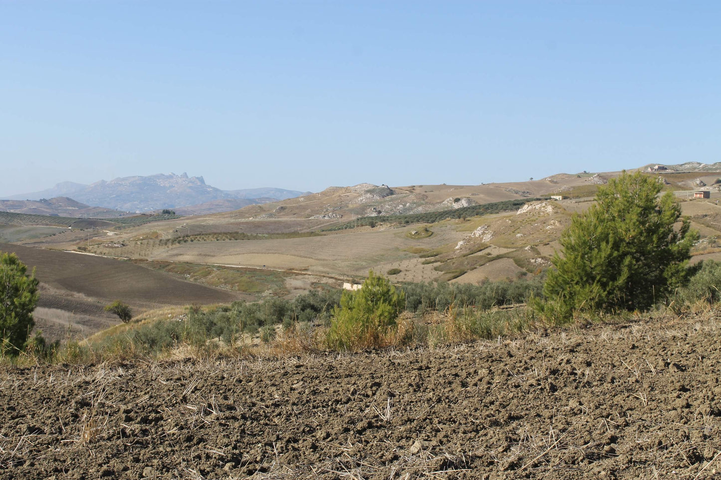 TERRENO D'ANGELO – CDA QUATTRO FINASDI