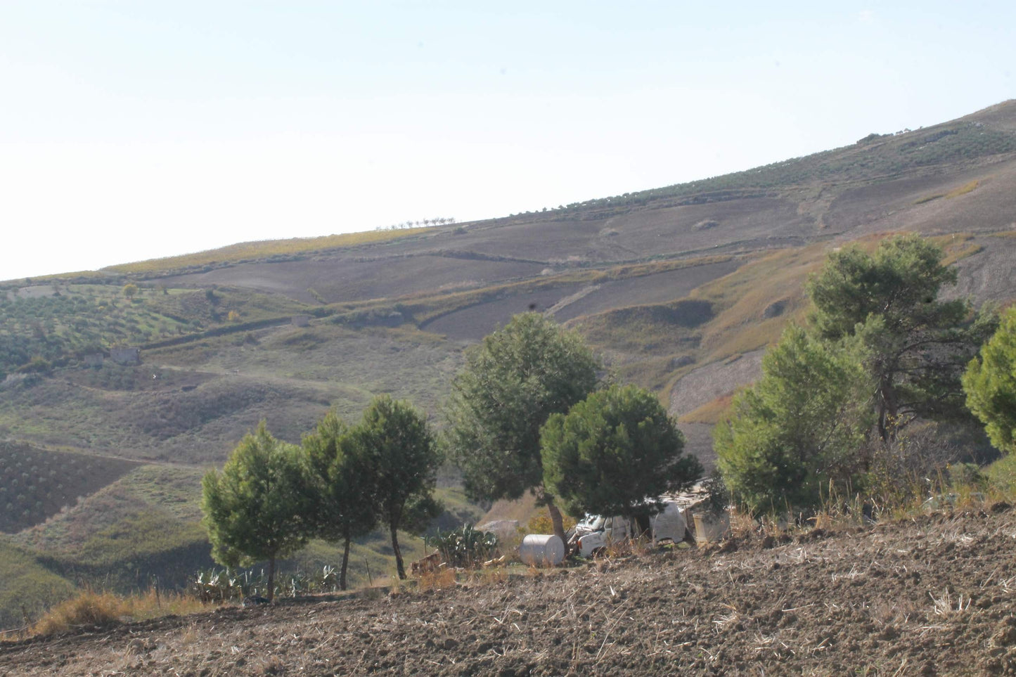 TERRENO D'ANGELO – CDA QUATTRO FINASDI