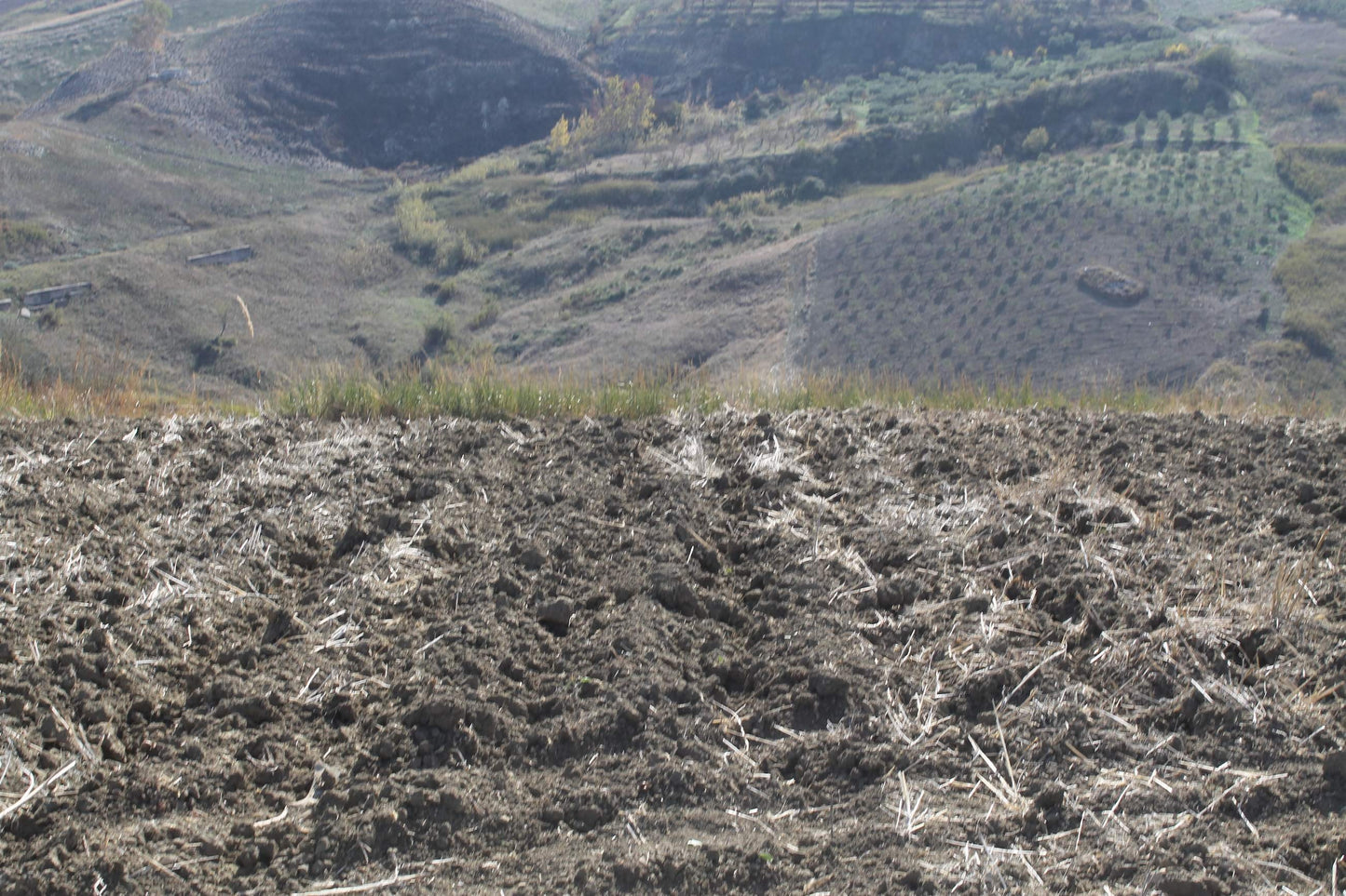TERRENO D'ANGELO – CDA QUATTRO FINASDI