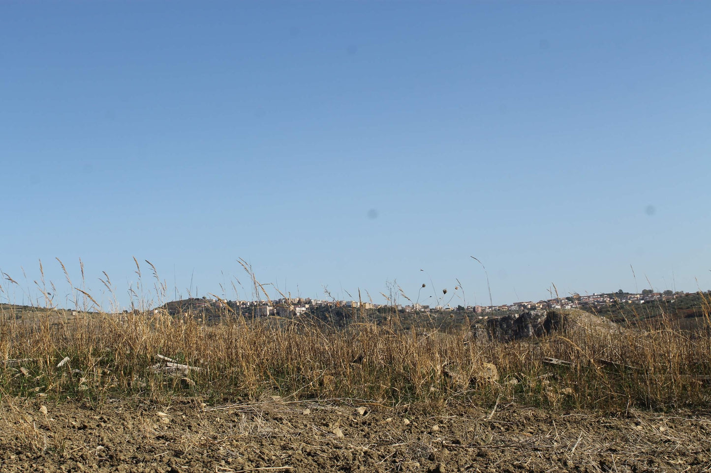 TERRENO D'ANGELO – CDA QUATTRO FINASDI