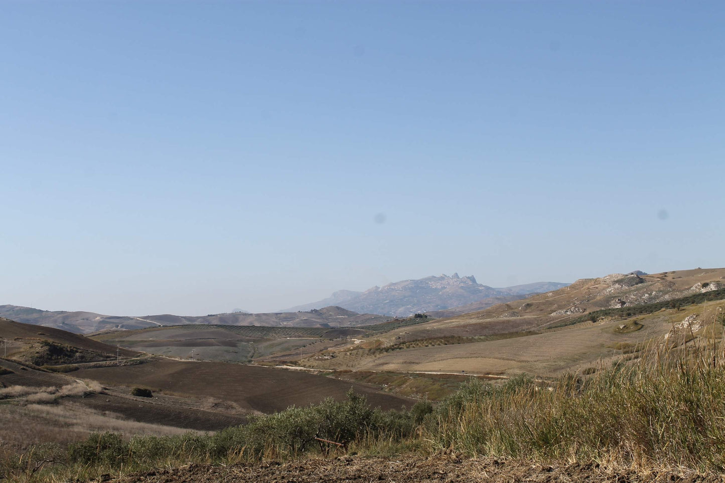 TERRENO D'ANGELO – CDA QUATTRO FINASDI