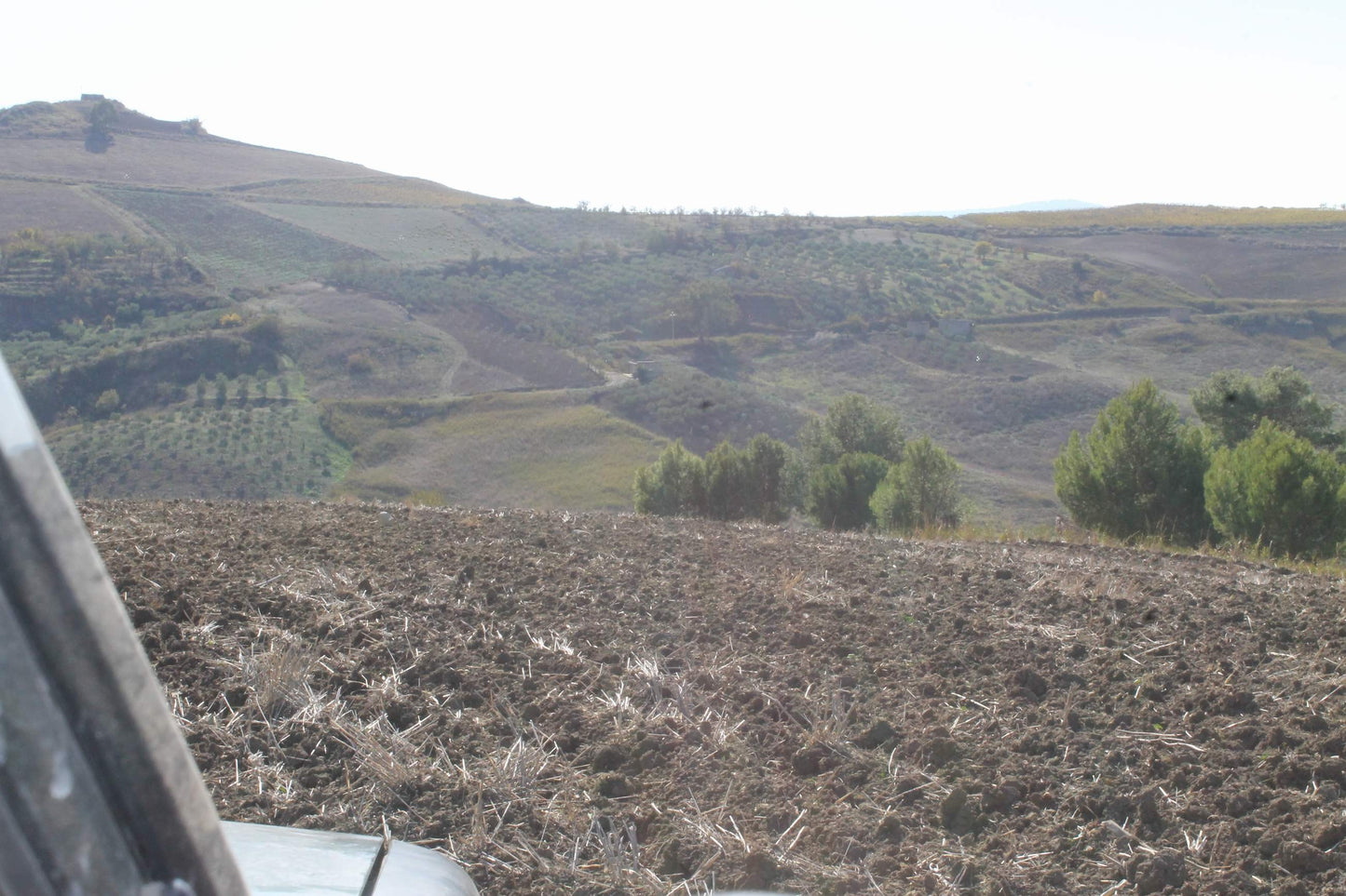 TERRENO D'ANGELO – CDA QUATTRO FINASDI