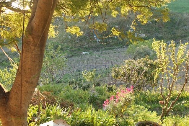 HOUSE AND LAND SCHEMBRI GINO