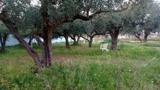 VILLA GIUSEPPE CDA SAN MARCO (SCIACCA)