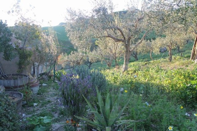 HOUSE AND LAND SCHEMBRI GINO