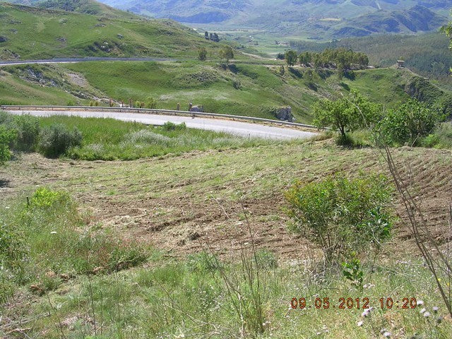 TERRENO AMOROSO CONTRADA FEOTTO