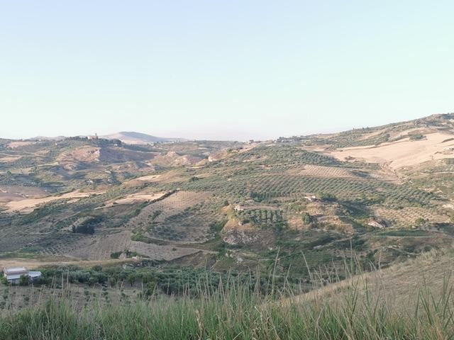 HOUSE AND LAND TAMMUZZO – CDA PETRARO