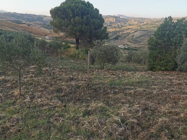 HOUSE AND LAND TAMMUZZO – CDA PETRARO