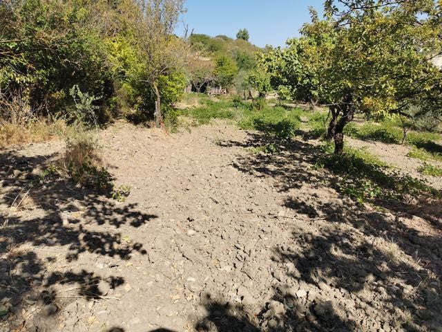 TERRENO GAGLIANO CDA CICCIONE
