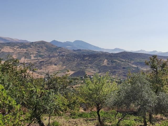TERRENO GAGLIANO CDA CICCIONE