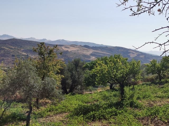 TERRENO GAGLIANO CDA CICCIONE