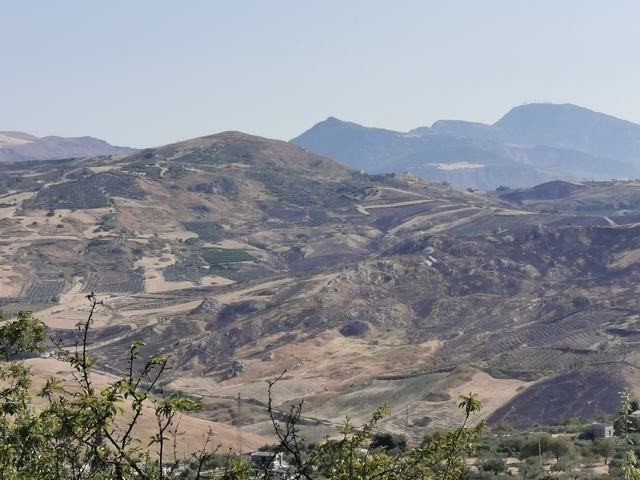 TERRENO GAGLIANO CDA CICCIONE
