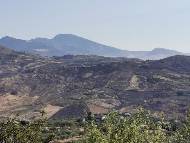 TERRENO GAGLIANO CDA CICCIONE