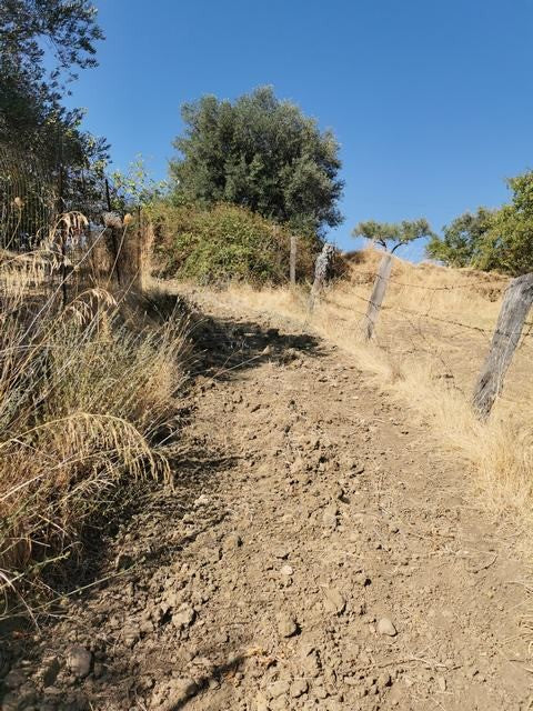 TERRENO GAGLIANO CDA CICCIONE