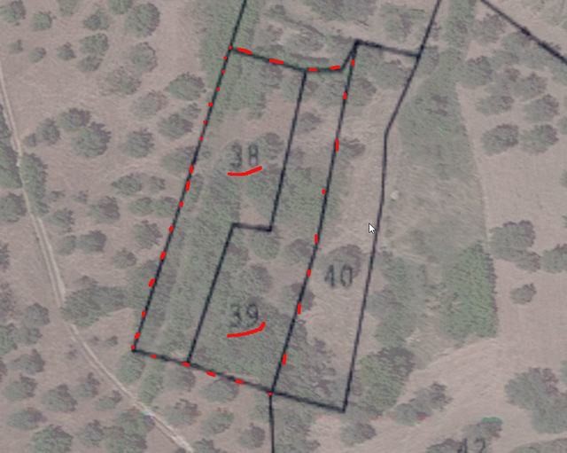 TERRENO CDA CALIATO - MONTEVAGO