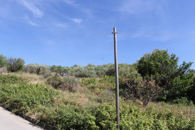 TERRENO TAMBUZZO CDA CASTELLACCIO