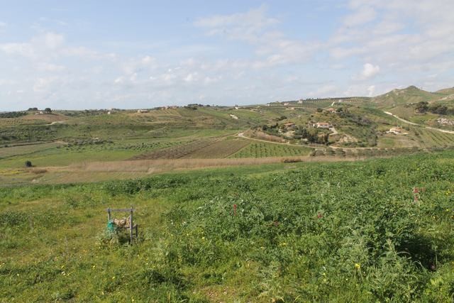 TERENNO PANORAMICO TERESA – TORRE SALSA (AG)
