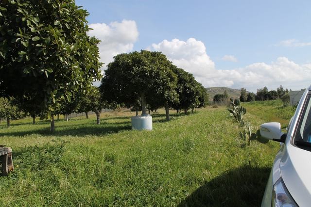 TERENNO PANORAMICO TERESA – TORRE SALSA (AG)