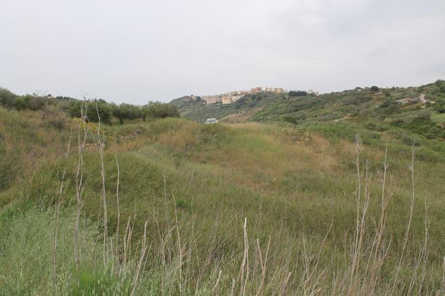 TERRENO AMBROSINI – CDA ALBANO