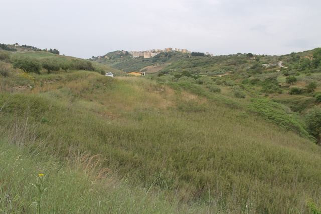 TERRENO AMBROSINI – CDA ALBANO
