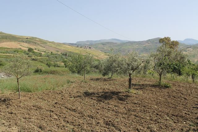 MAGAZZINO E TERRENO PANORAMICO DI MORA – CDA CANALARO