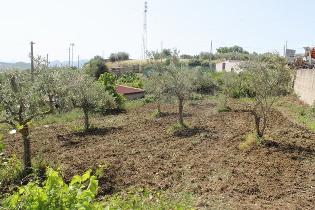 MAGAZZINO E TERRENO PANORAMICO DI MORA – CDA CANALARO