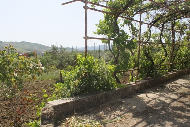 MAGAZZINO E TERRENO PANORAMICO DI MORA – CDA CANALARO