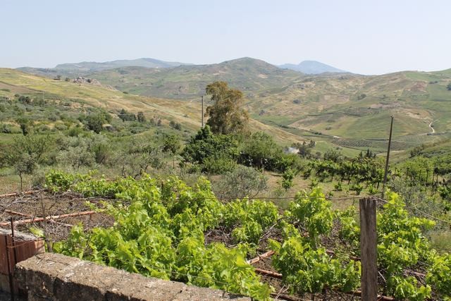 MAGAZZINO E TERRENO PANORAMICO DI MORA – CDA CANALARO