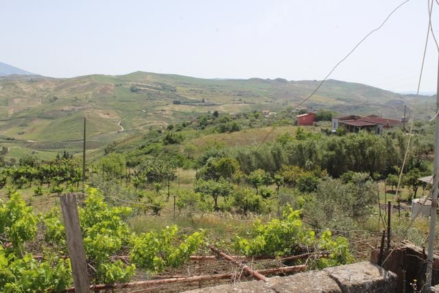 MAGAZZINO E TERRENO PANORAMICO DI MORA – CDA CANALARO