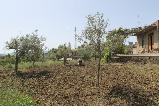 MAGAZZINO E TERRENO PANORAMICO DI MORA – CDA CANALARO