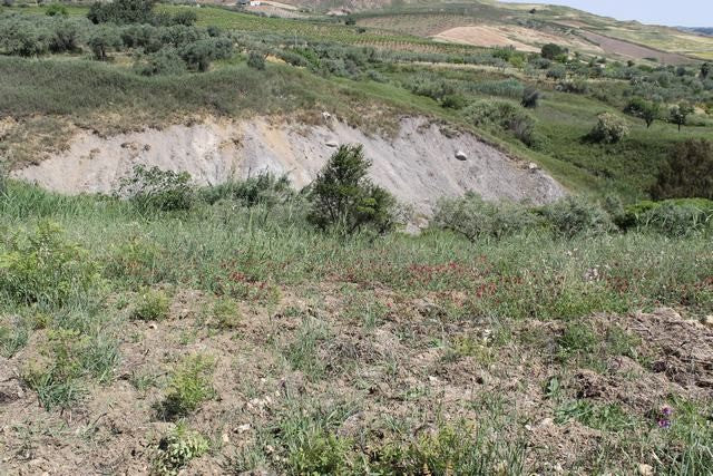 MAGAZZINO E TERRENO PANORAMICO DI MORA – CDA CANALARO