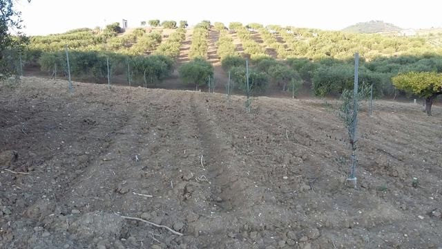 TERRENO PANORAMICO CON VISTA MARE FERRARO - BOVO MARINA (AG)