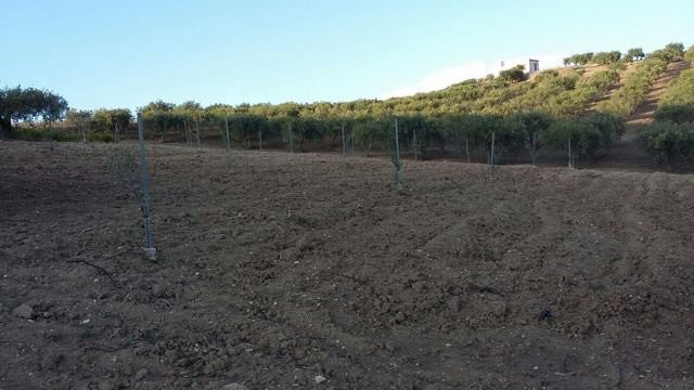 TERRENO PANORAMICO CON VISTA MARE FERRARO - BOVO MARINA (AG)