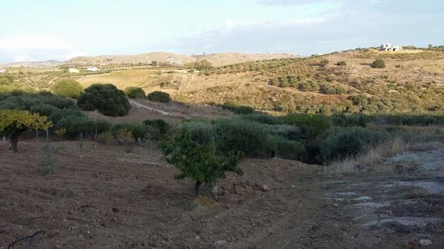 TERRENO PANORAMICO CON VISTA MARE FERRARO - BOVO MARINA (AG)