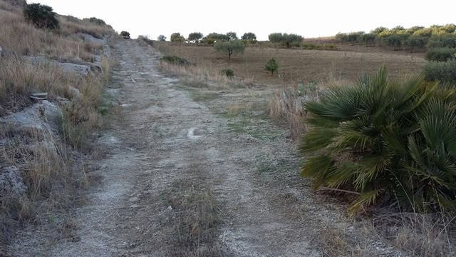 TERRENO PANORAMICO CON VISTA MARE FERRARO - BOVO MARINA (AG)