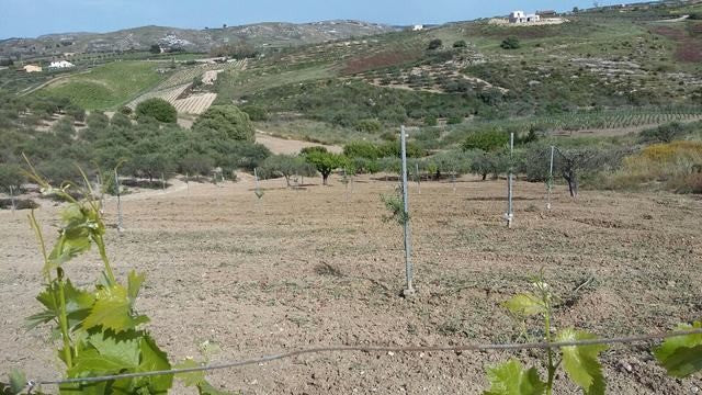 TERRENO PANORAMICO CON VISTA MARE FERRARO - BOVO MARINA (AG)