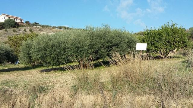 TERRENO PANORAMICO CON VISTA MARE FERRARO - BOVO MARINA (AG)