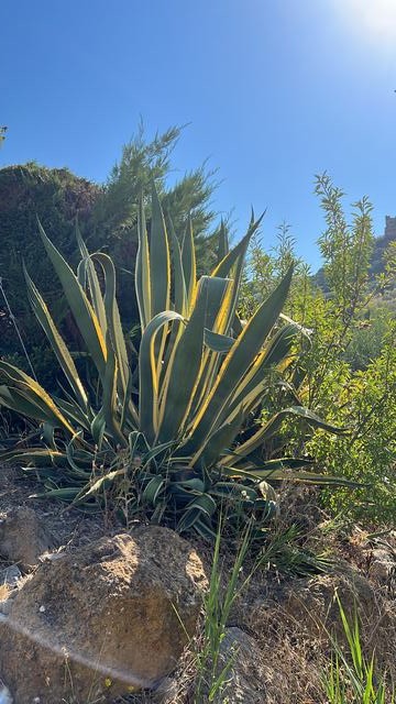 VILLA DOLCE – CDA DIFISA, CIANCIANA (AG)