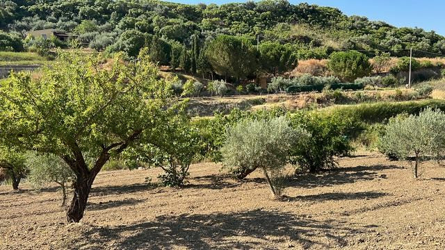 VILLA DOLCE – CDA DIFISA, CIANCIANA (AG)