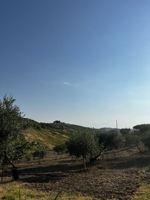 VILLA DOLCE – CDA DIFISA, CIANCIANA (AG)