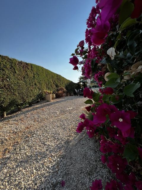 VILLA DOLCE – CDA DIFISA, CIANCIANA (AG)